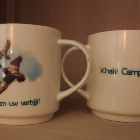 Khaki Campbell Feriehus Ermelo