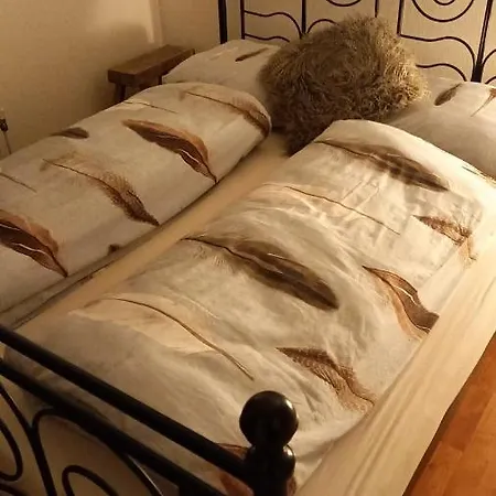 Feriehus Khaki Campbell *