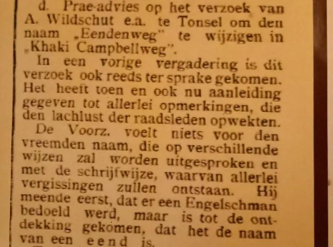 Khaki Campbell Casa vacanze Ermelo