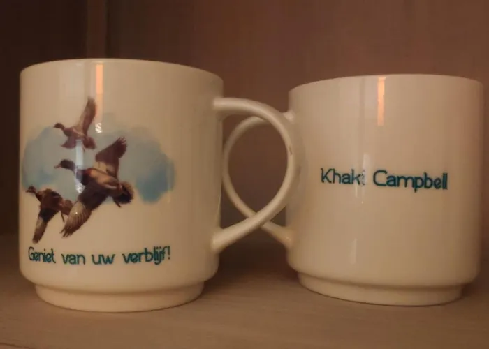 Khaki Campbell Casa vacanze Ermelo