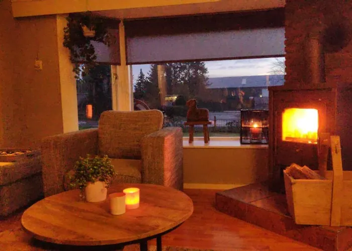 Khaki Campbell Casa vacanze Ermelo